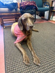 WACOSA Senior Art Mural - Art Assistant Ruby